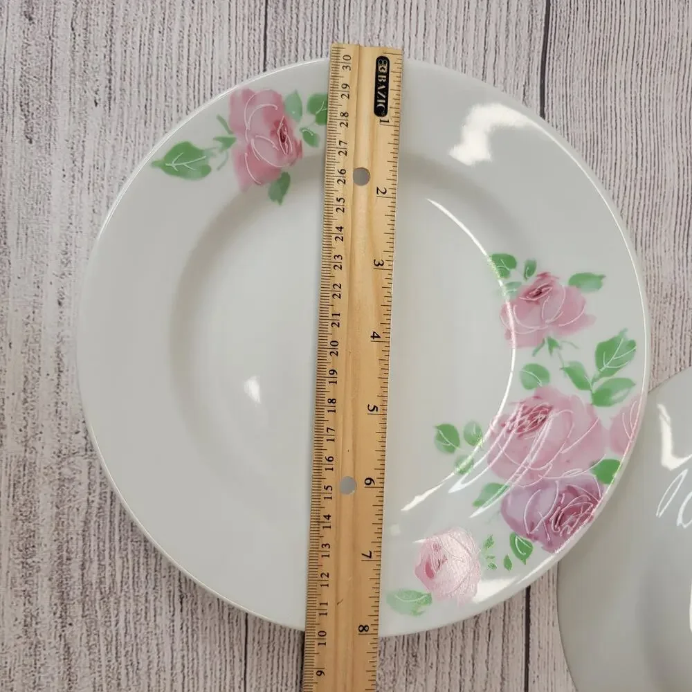 Pier 1 Vintage Rose Jardin Hand Painted China Dinner & Salad Plate Set